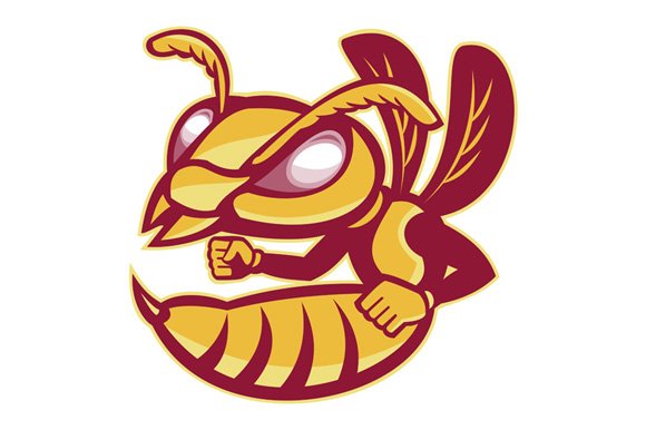 angry female hornet mascot cover image.