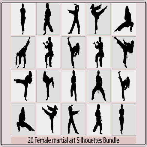silhouette of a kickboxing woman,female martial art silhouette female kickboxing,martial arts and yoga cover image.