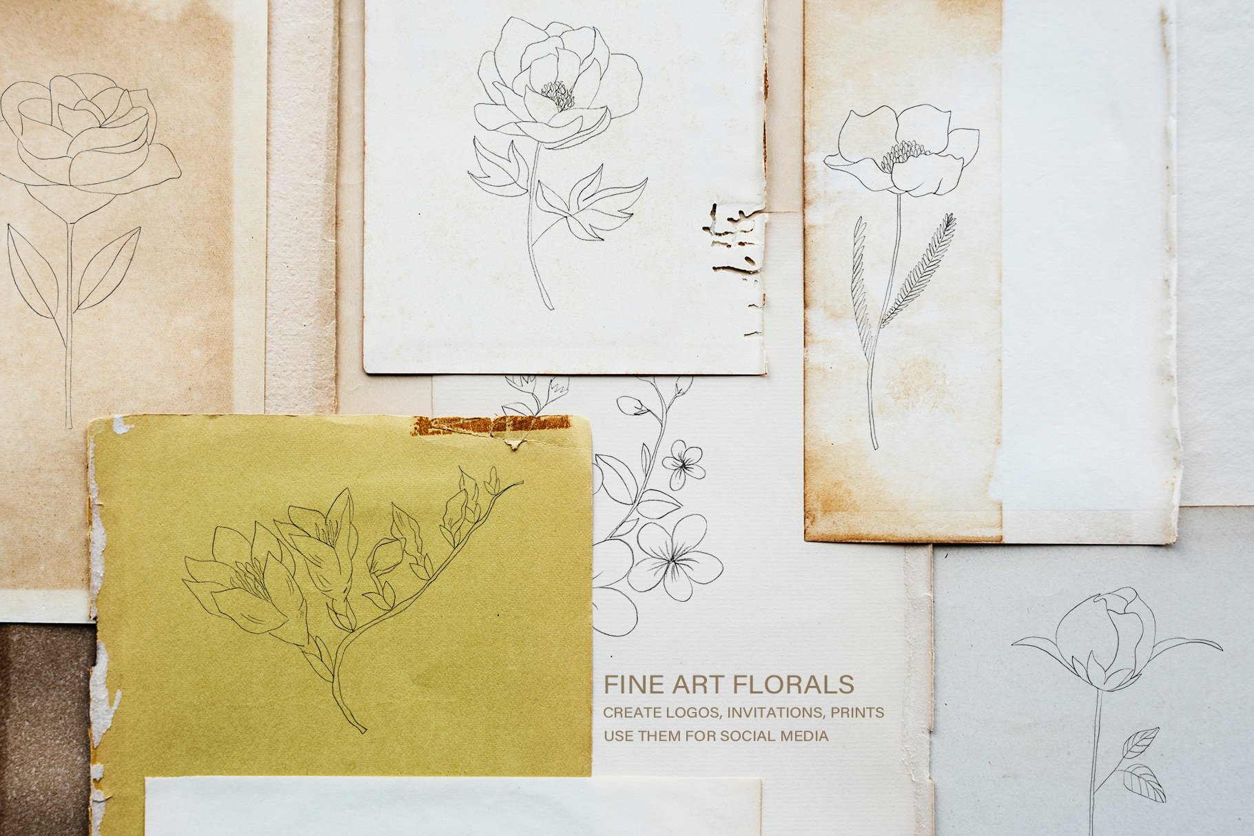 Fine Art Florals - Pencil Sketches preview image.