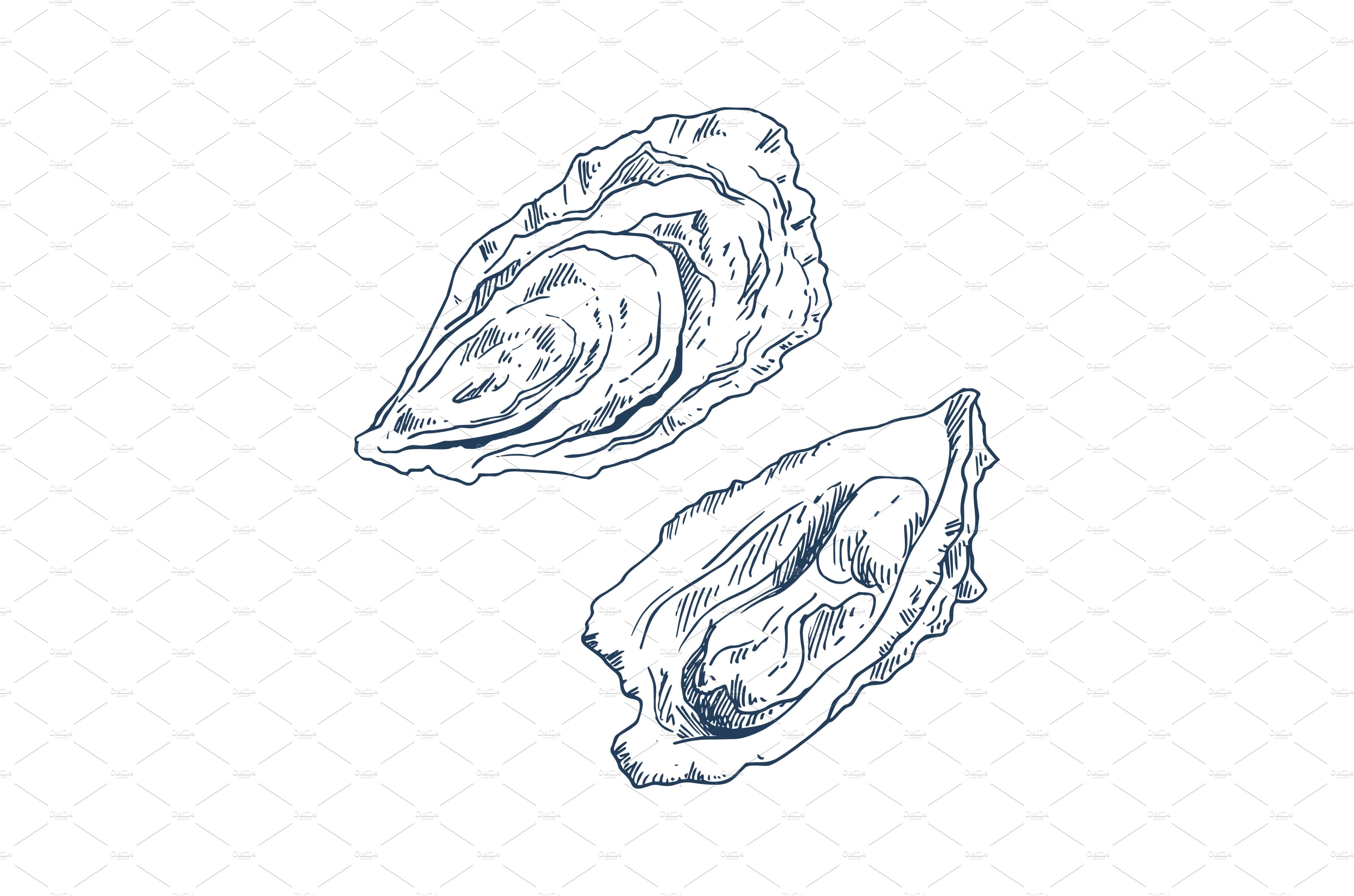 Seafood Delicacy Bivalve Clam Oyster cover image.
