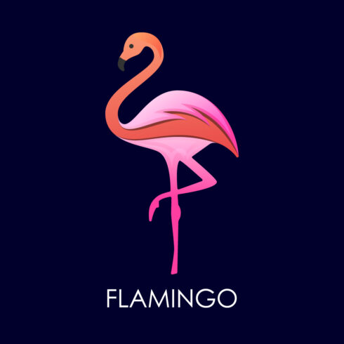 Modern colorful Flamingo bird logo design template vector illustration cover image.