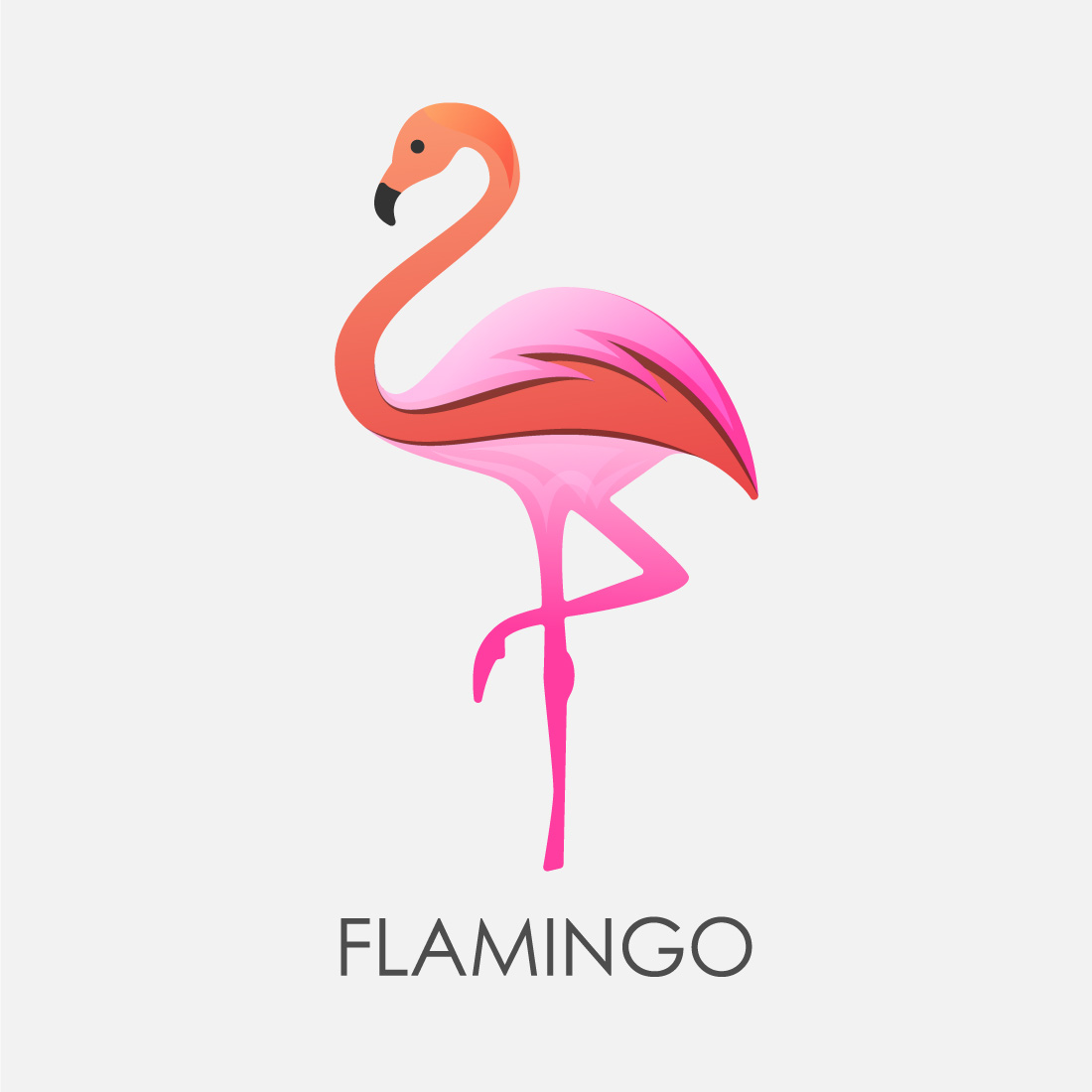 Modern colorful Flamingo bird logo design template vector illustration preview image.