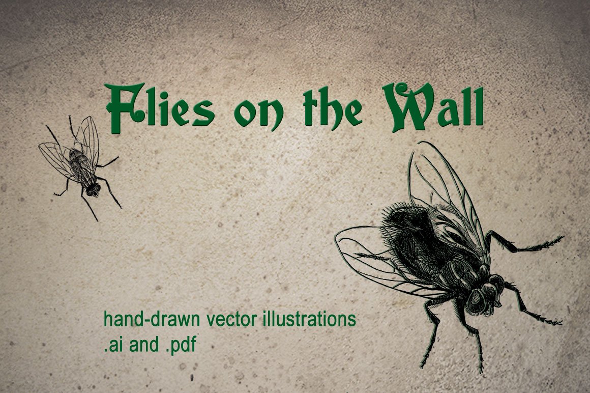 Houseflies Vector Illustration cover image.