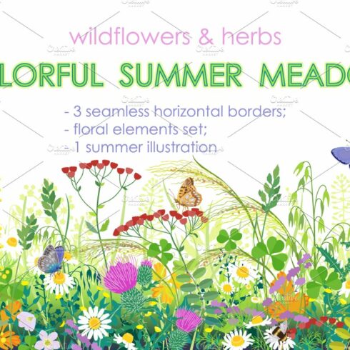 Summer Meadow Plants  and Insects cover image.
