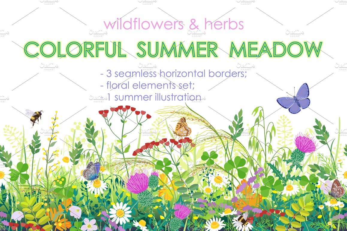 Summer Meadow Plants  and Insects cover image.