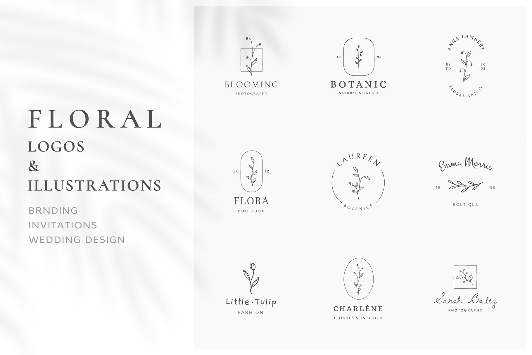 Floral Logos & Illustrations cover image.