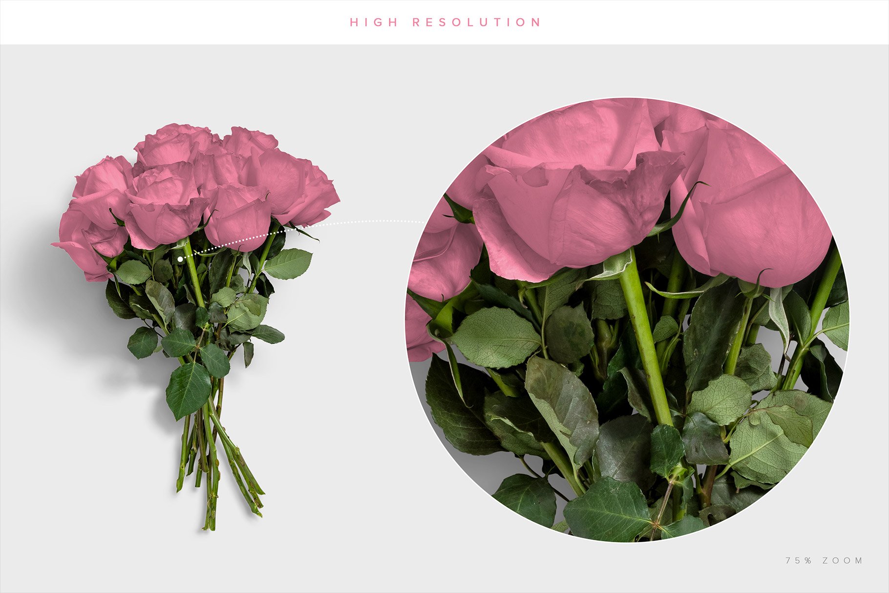 flower roses customscene 4 high resolution 387