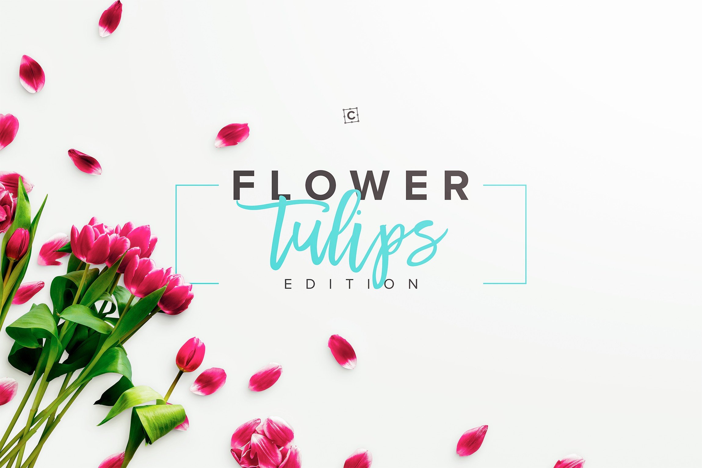 flower tulips edition premade scene 2 707