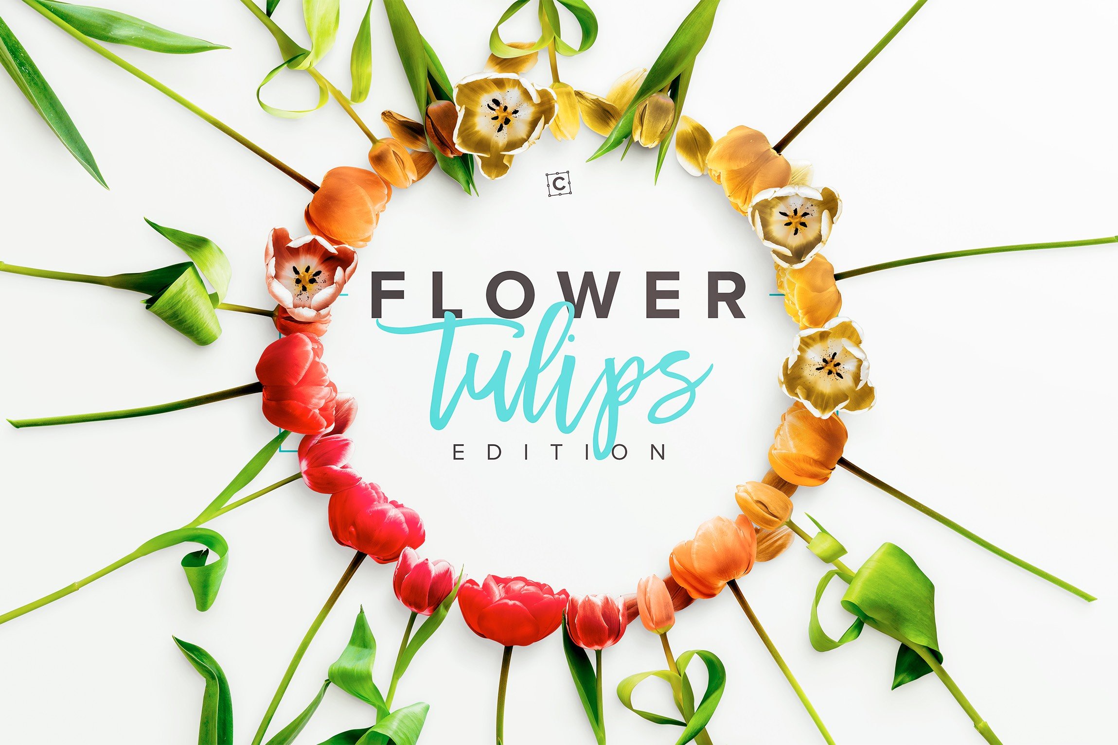 flower tulips edition premade scene 3 639