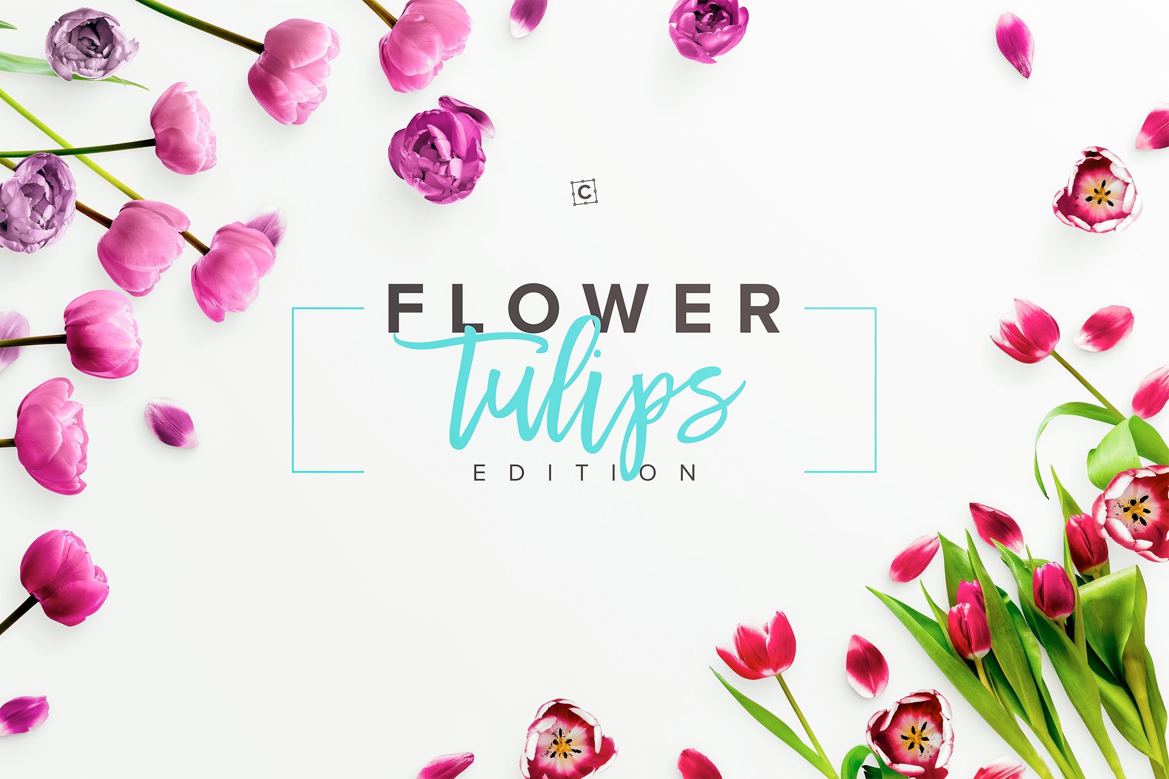 flower tulips edition premade scene 4 777