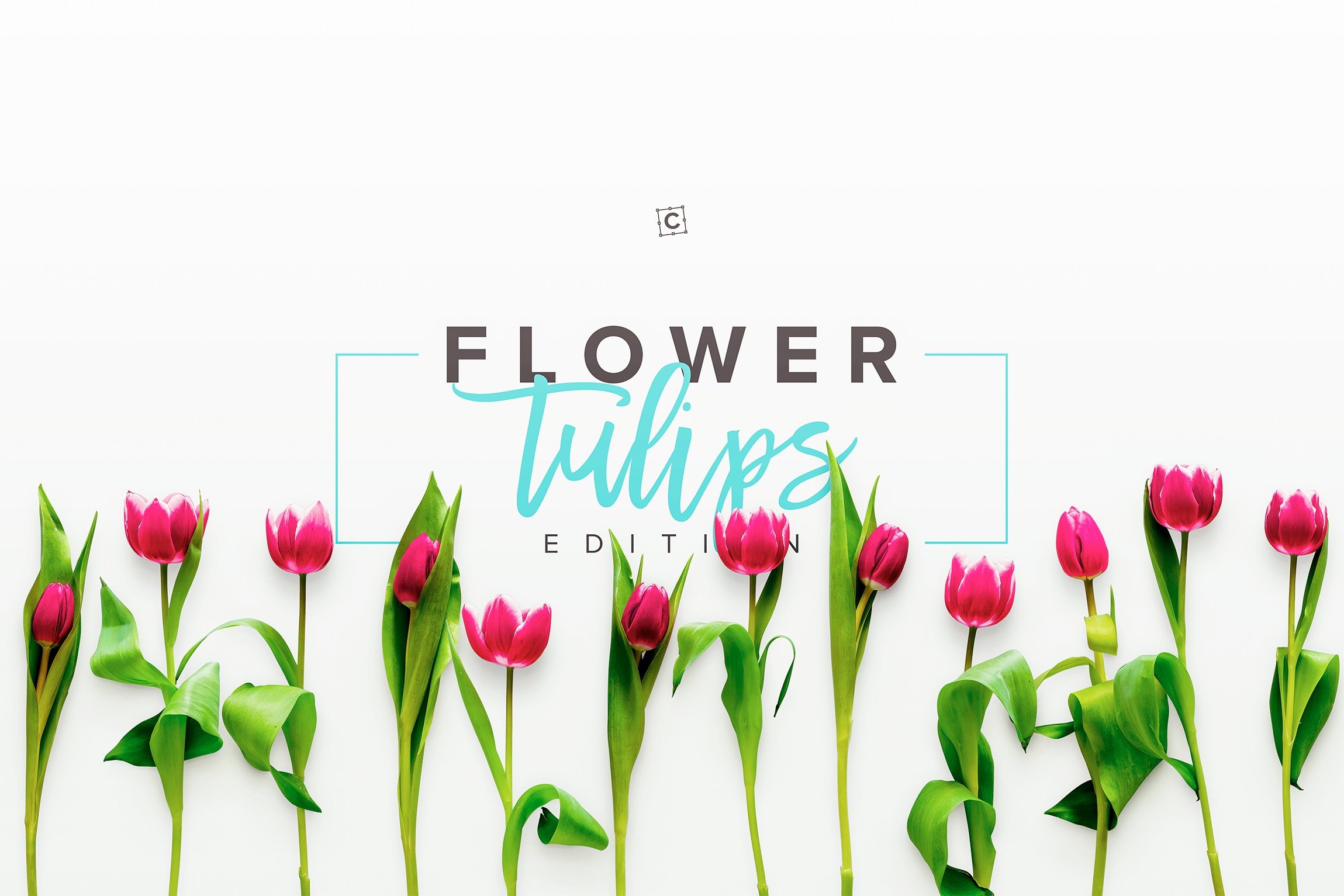 flower tulips edition premade scene 5 299