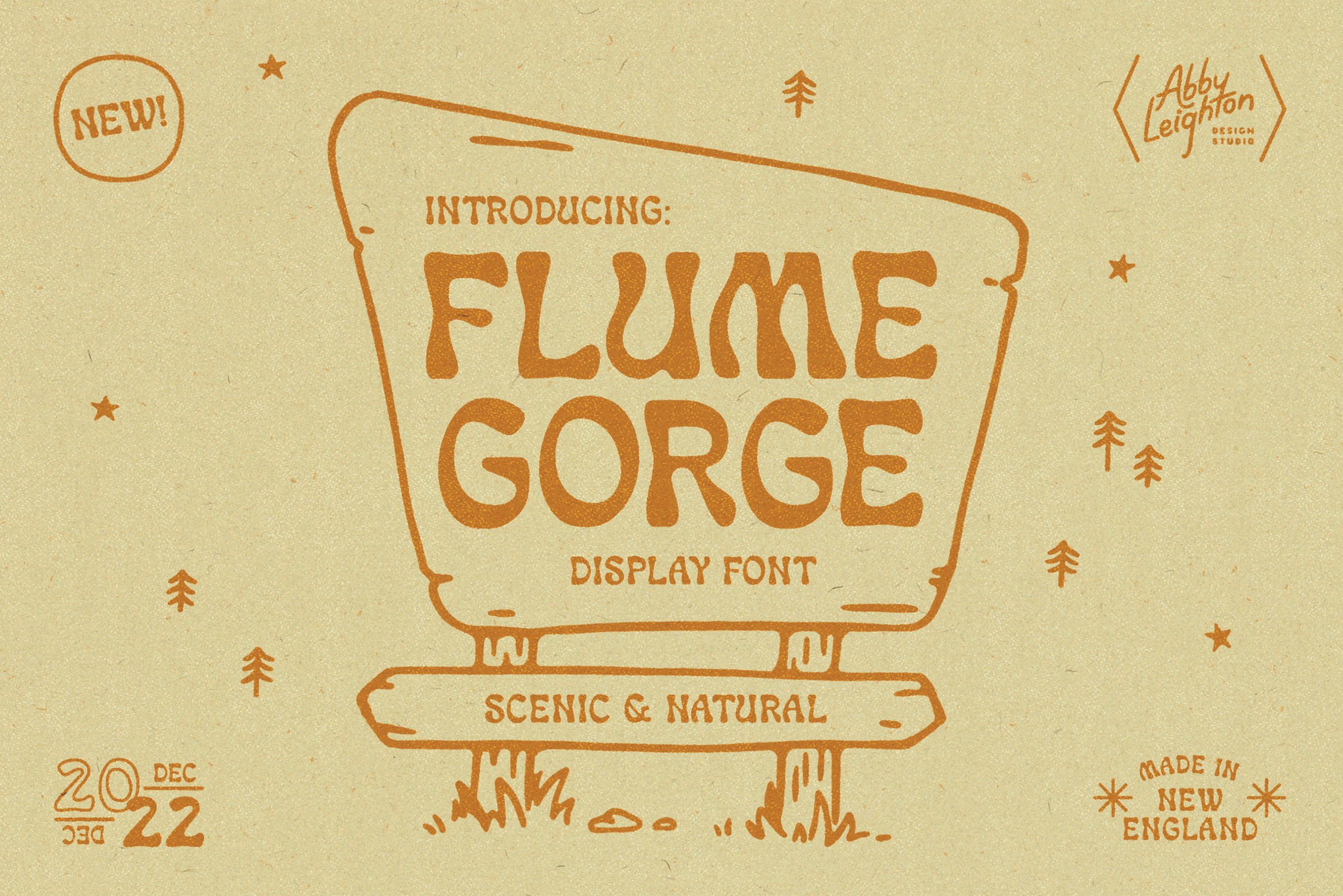 FLUME GORGE by Abby Leighton cover image.