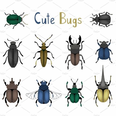 Cute bug icon set cover image.