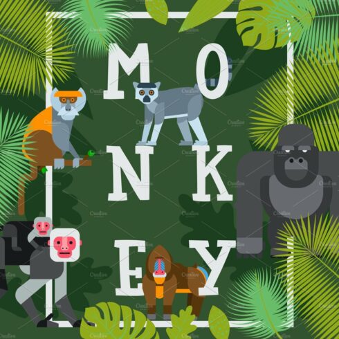 Monkey typographic poster, vector cover image.