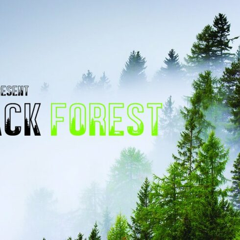 BLACK FOREST cover image.