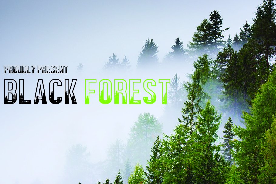 BLACK FOREST cover image.