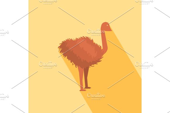 Ostrich Icon cover image.