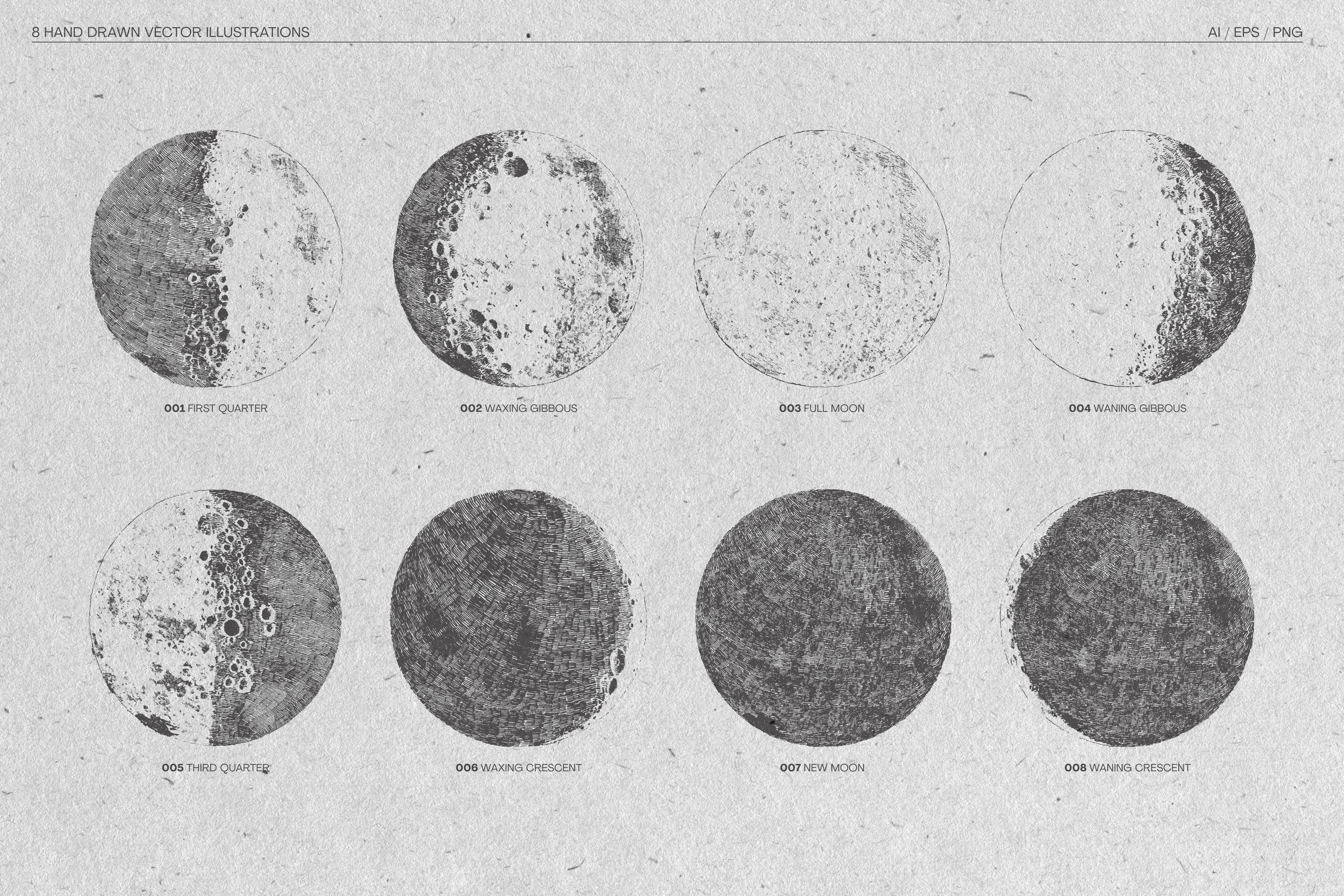 Illustrations of the moon phases preview image.