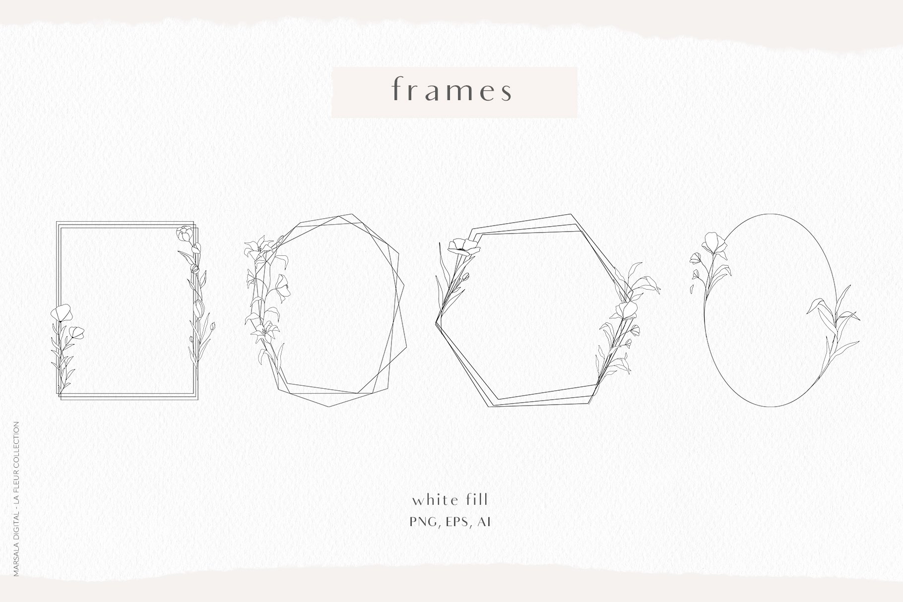 frames 317