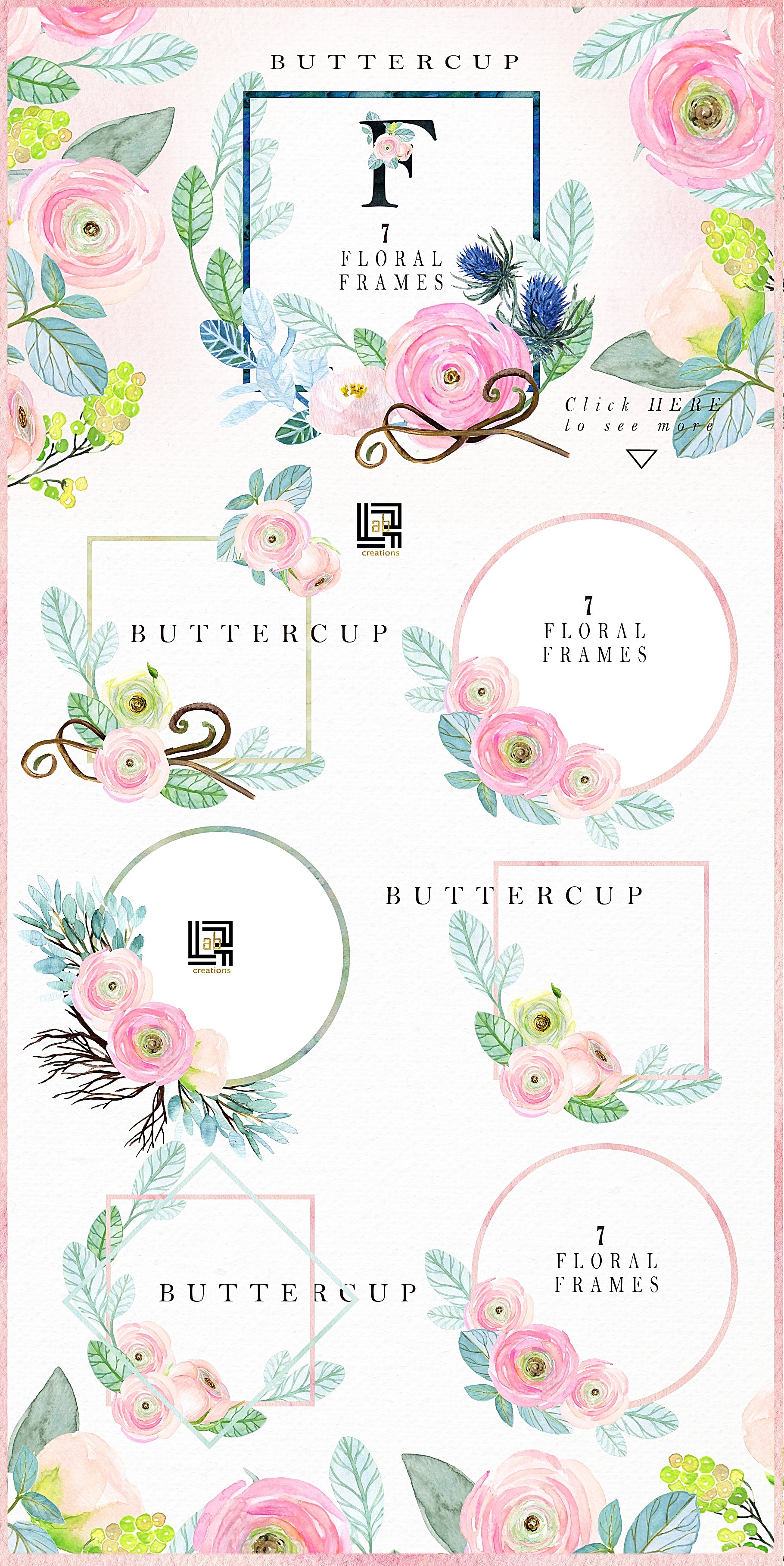 -50% Off Buttercups. Ranunculus pink cover image.