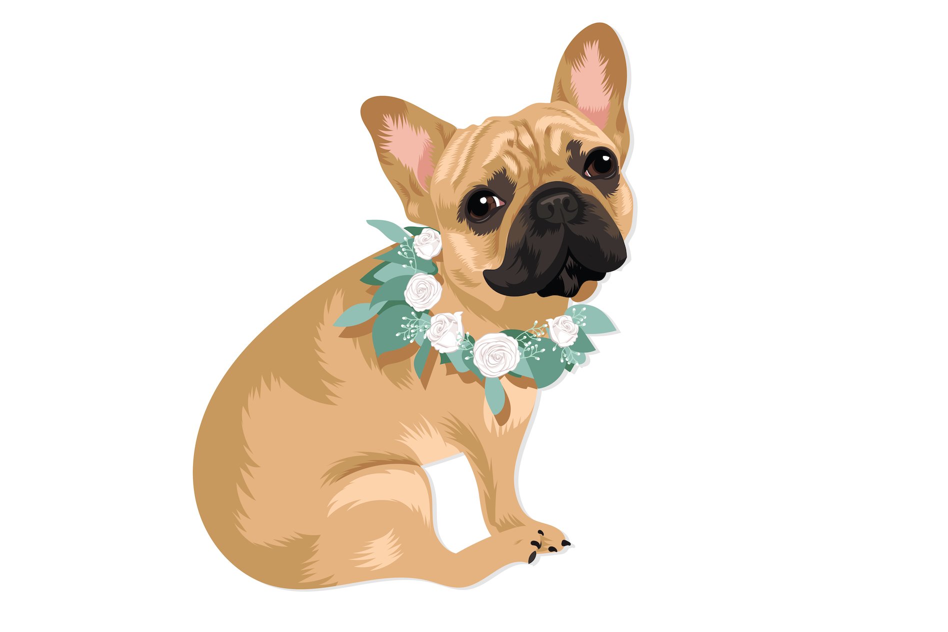 French Bulldog Vector Illustrations preview image.