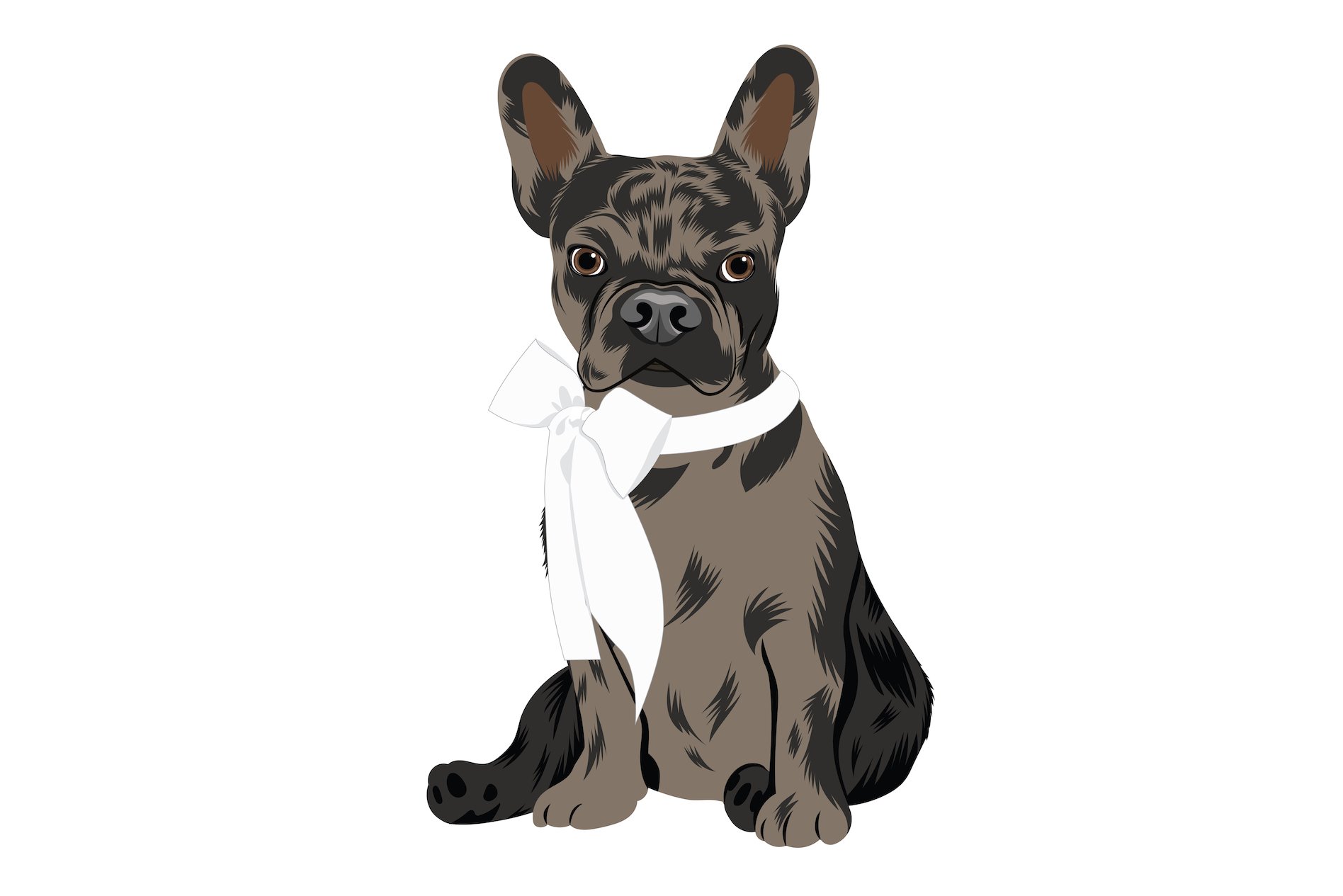 french bulldogs cm images 05 894