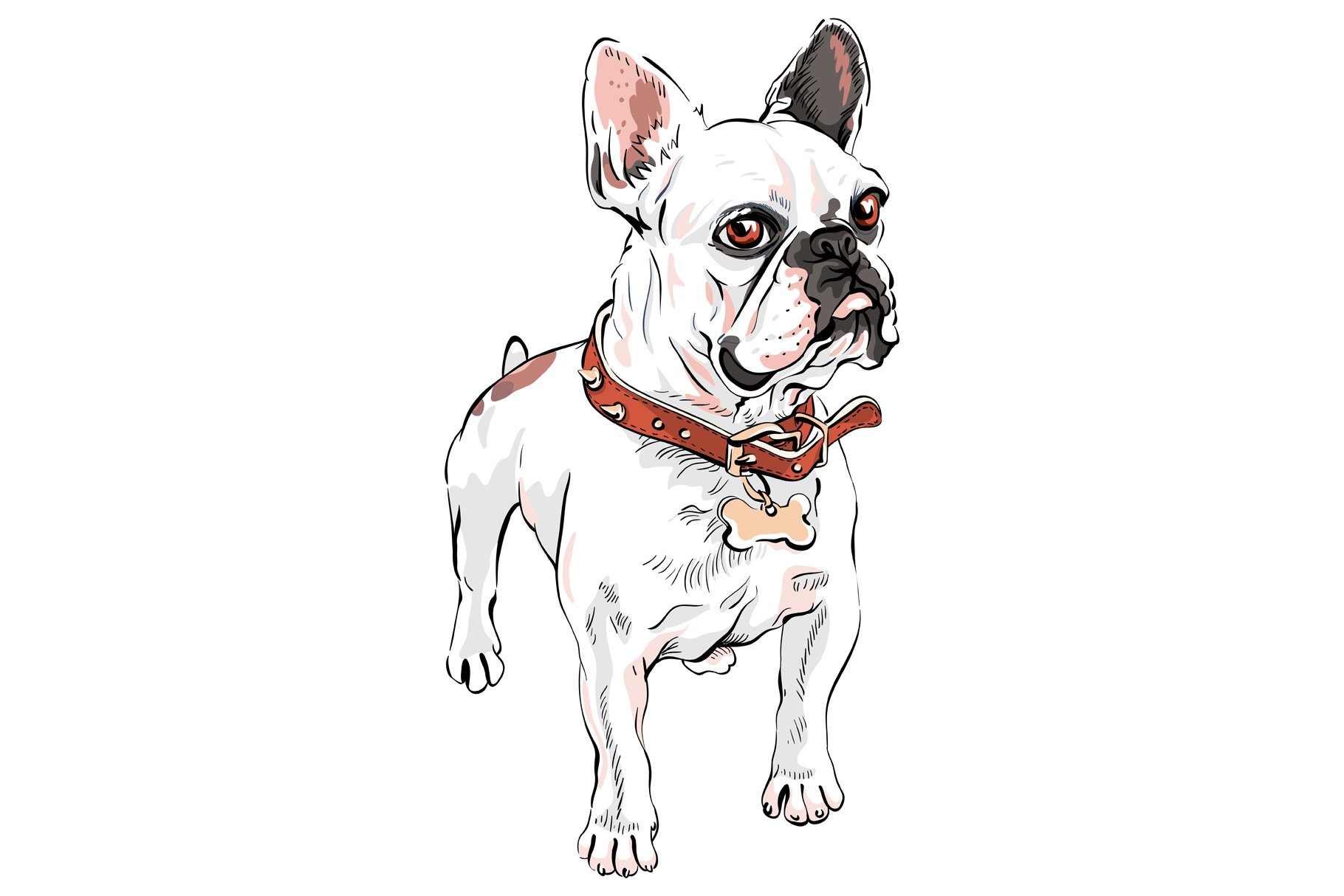 vector set French Bulldog dogs preview image.