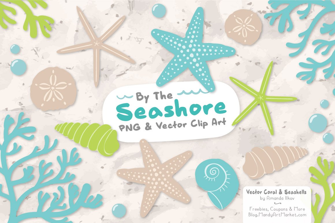 Fresh Vector Seashells cover image.