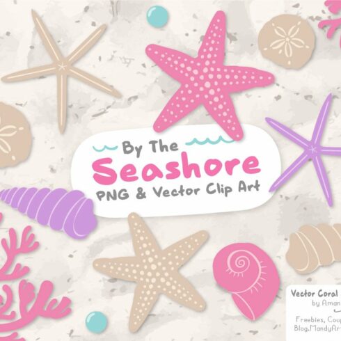 Fresh Vector Seashells cover image.