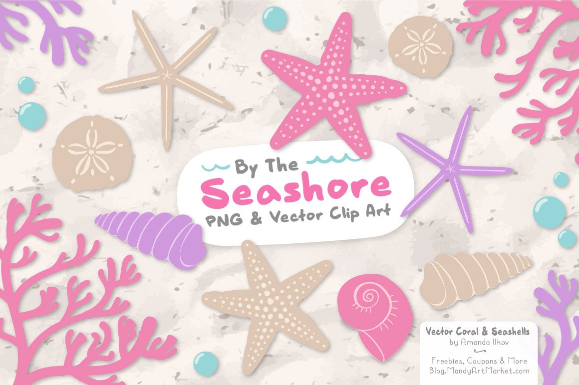 Fresh Vector Seashells cover image.