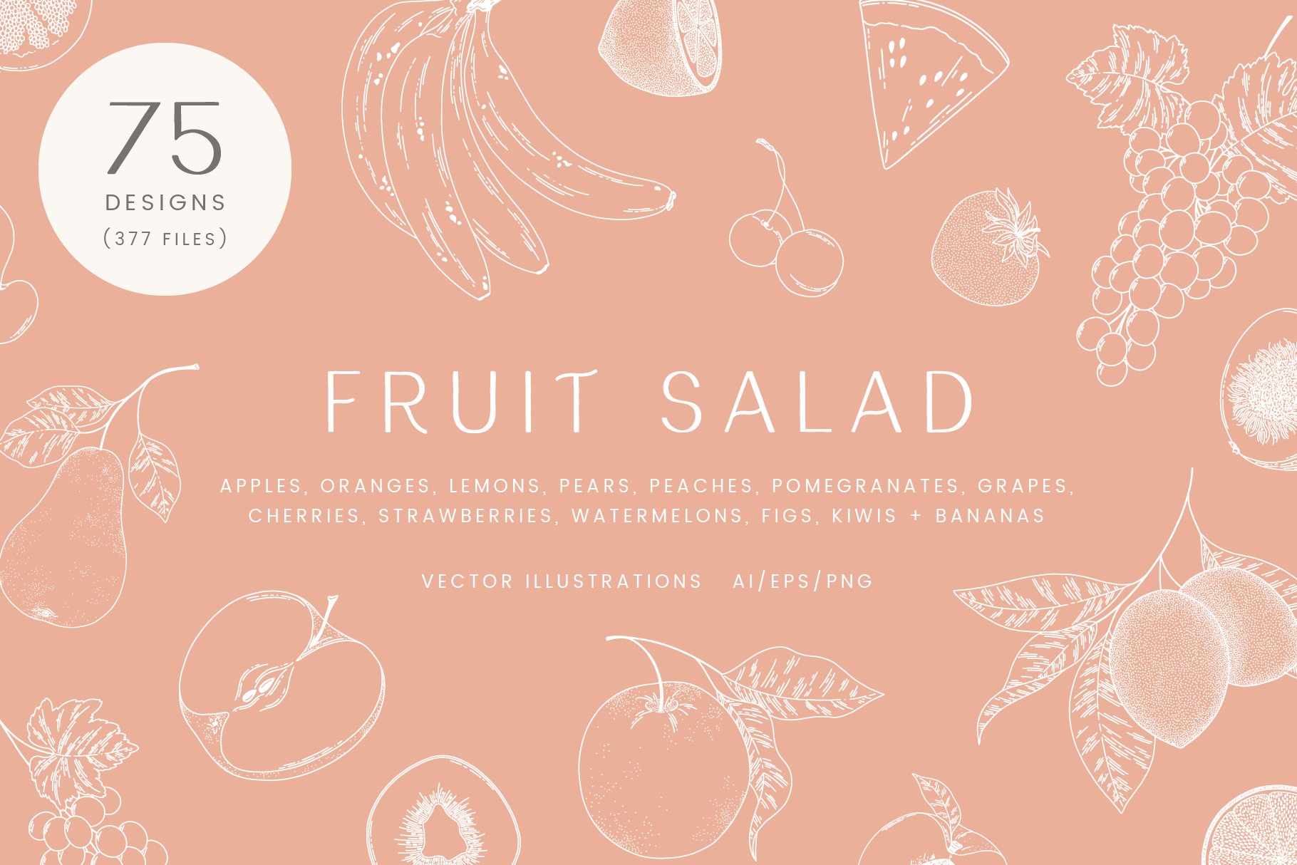 Fruit Salad Vector Illustrations cover image.