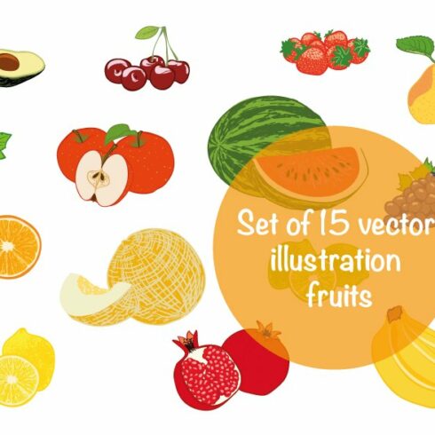 Vector illustration fruits cover image.
