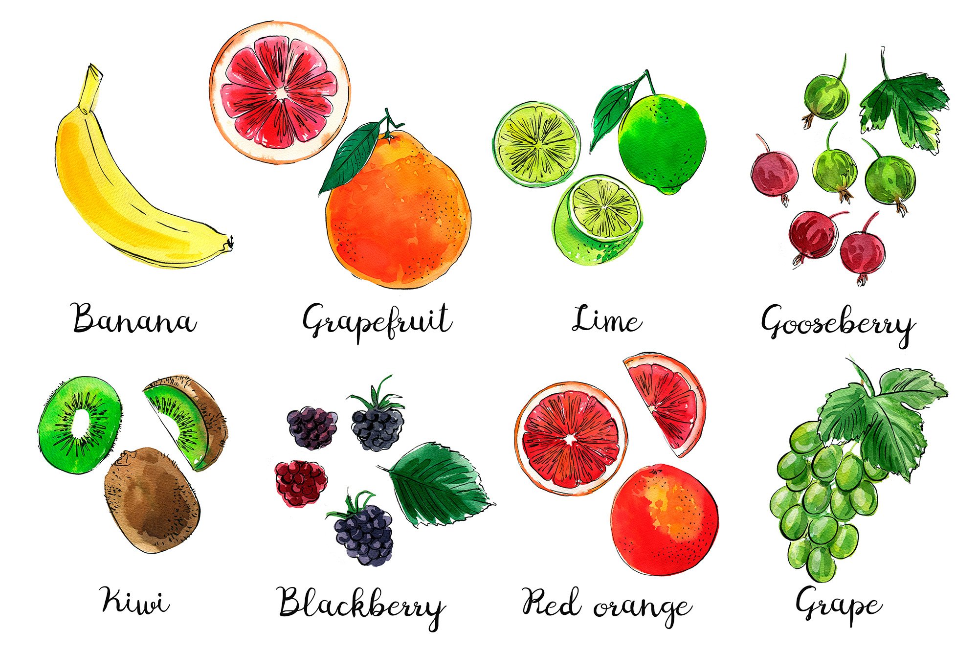 fruits 5 157