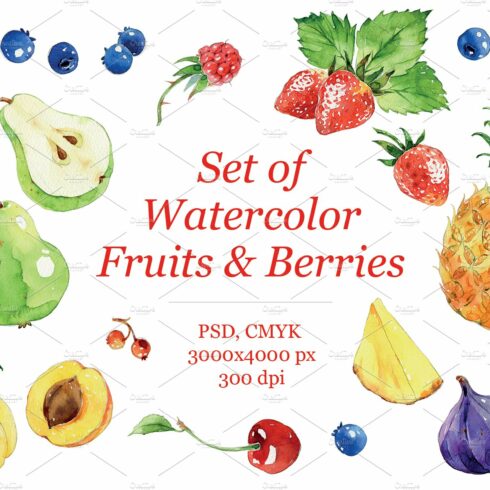 Set of watercolour Fruits & Berries cover image.