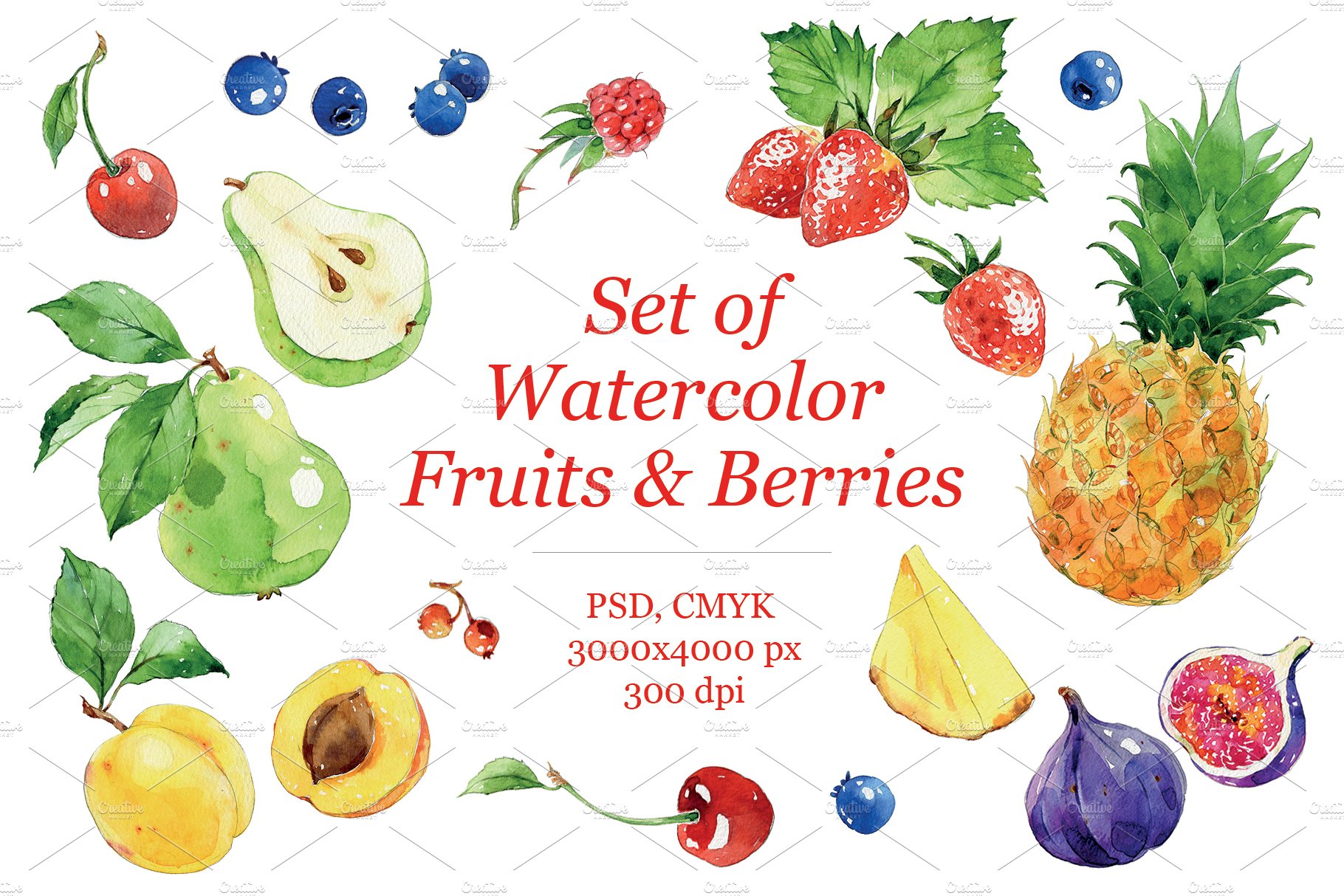 Set of watercolour Fruits & Berries cover image.