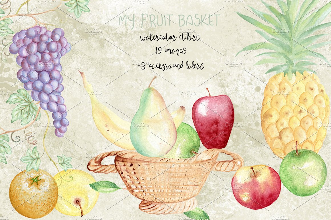 Watercolor fruits elements. Grape cover image.