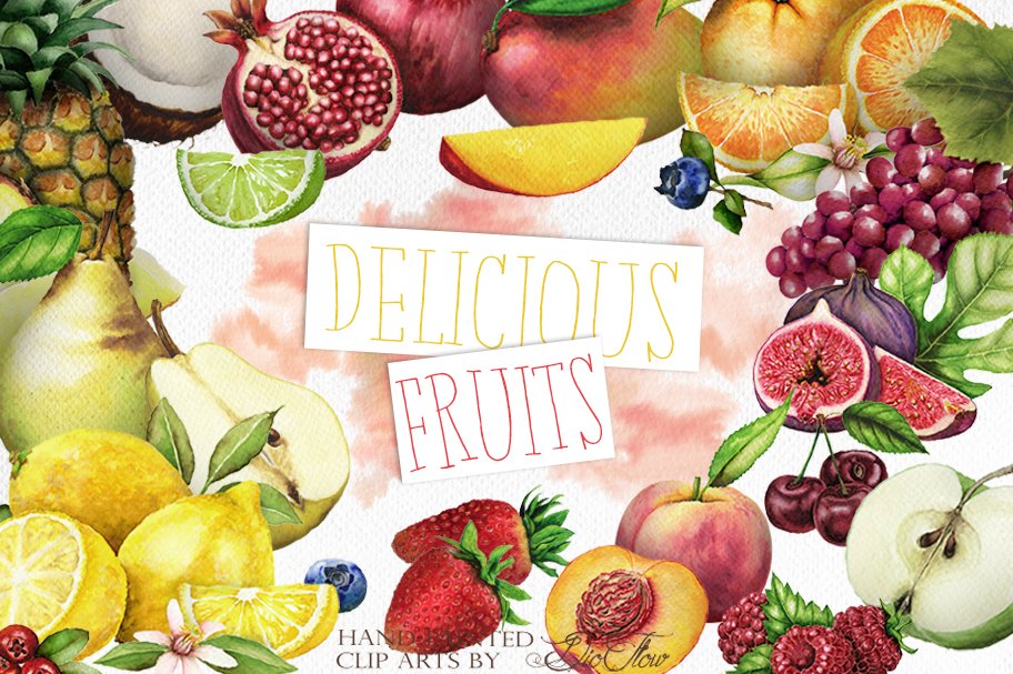 Fruit Watercolor Illustration cover image.