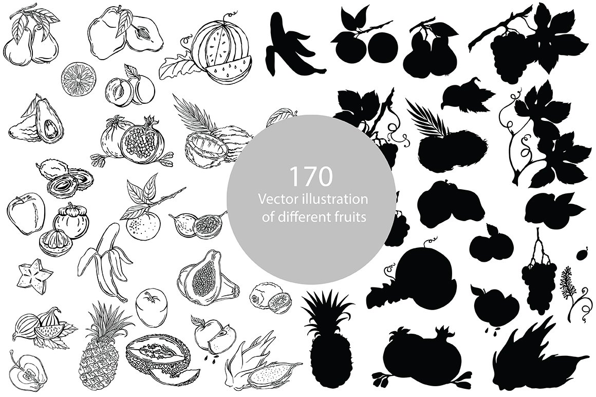 Vector illustration of fruits preview image.