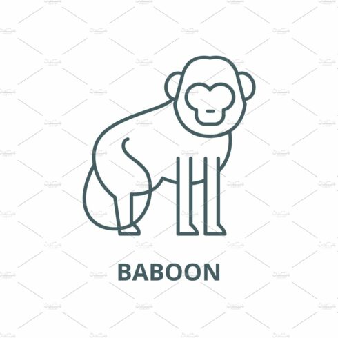 Baboon vector line icon, linear cover image.