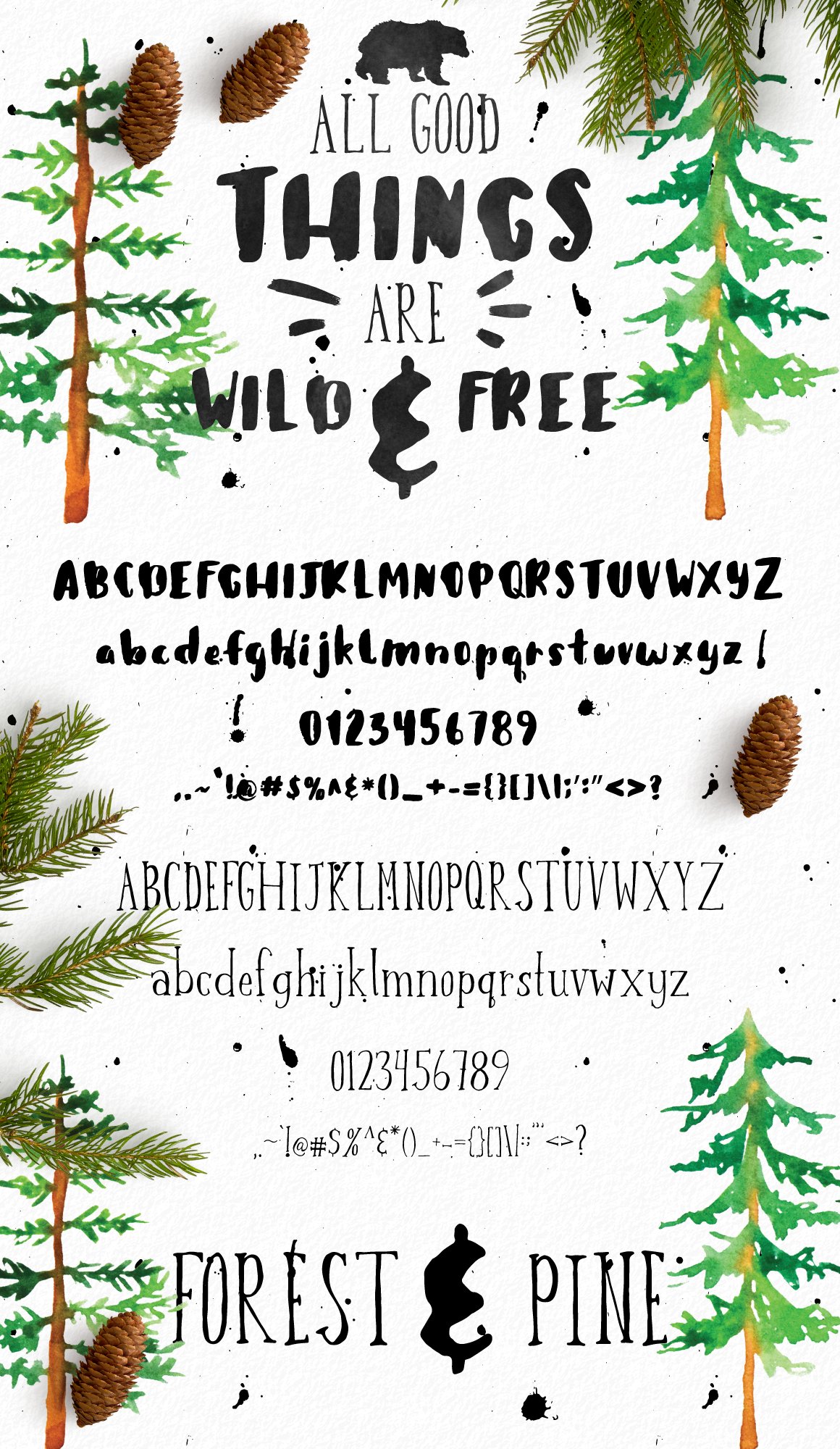 Forest & Pine Textured Font Bundle preview image.