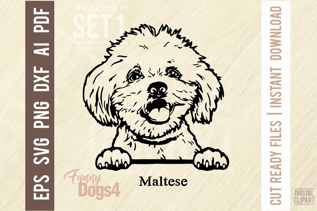Maltese Funny Dog SVG Stencil cover image.
