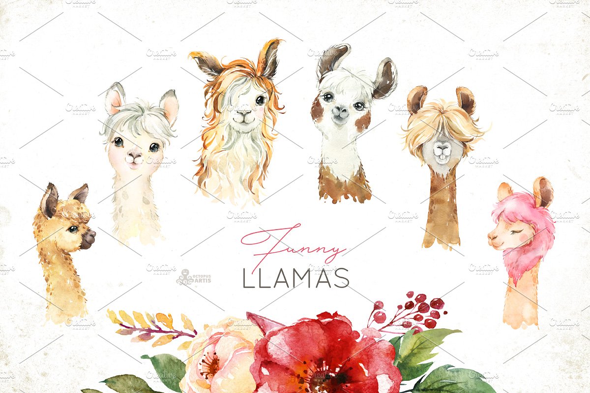 Llamas. Funny Watercolor Animals preview image.