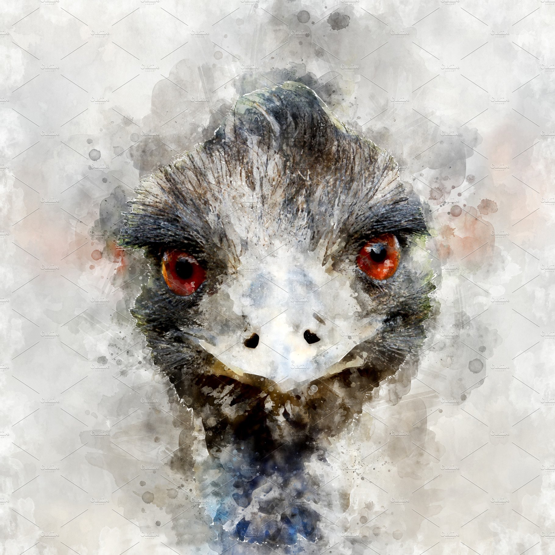 Ostrich - watercolor illustration po cover image.