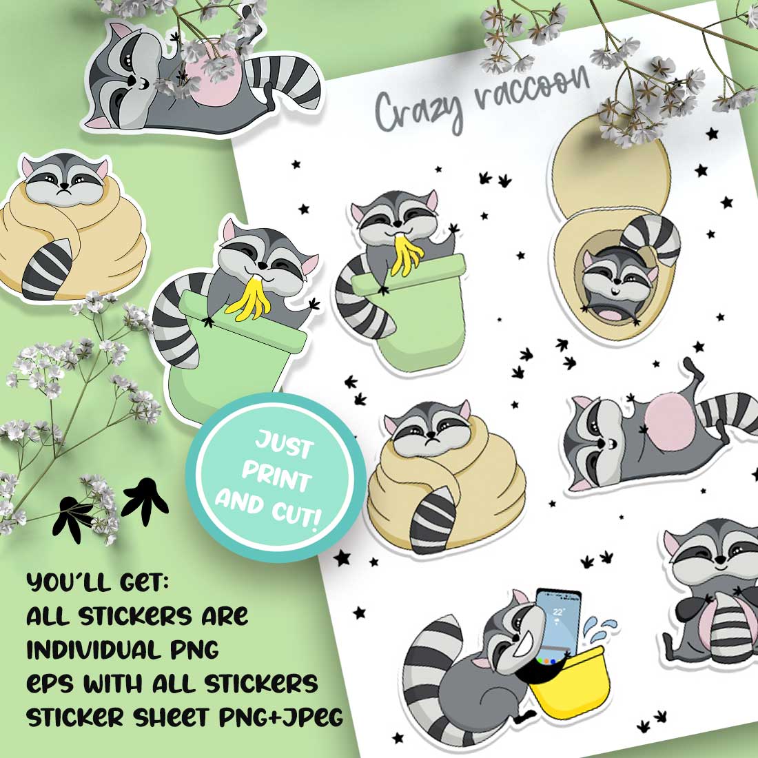 Funny Racoon sticker sheet | 6 png stickers design preview image.