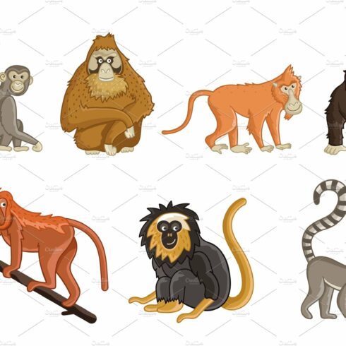 Cartoon monkeys. Wildlife and zoo cover image.