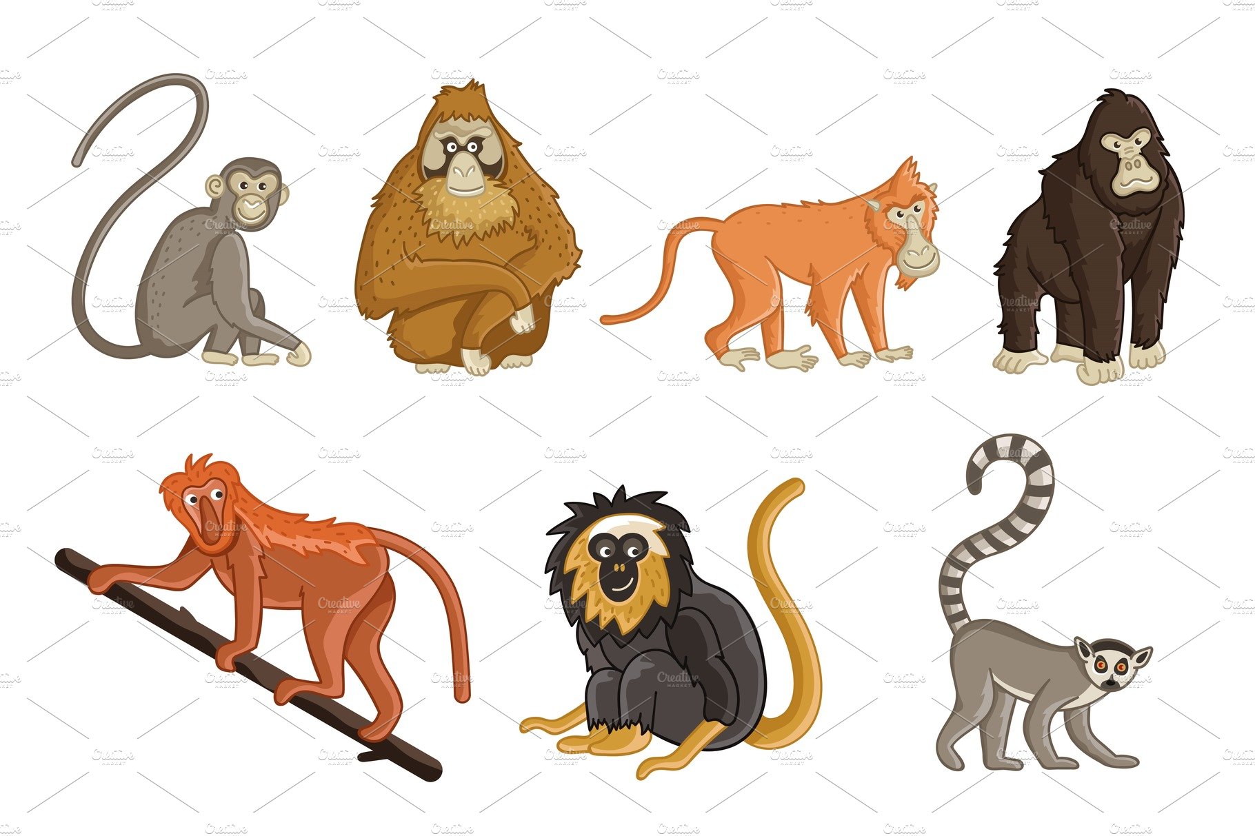 Cartoon monkeys. Wildlife and zoo cover image.