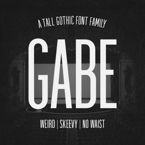 Gabe Sans - Tall Gothic Font Family cover image.