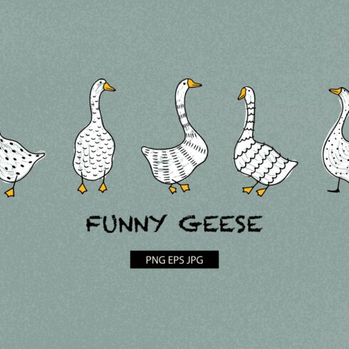 Funny geese cover image.