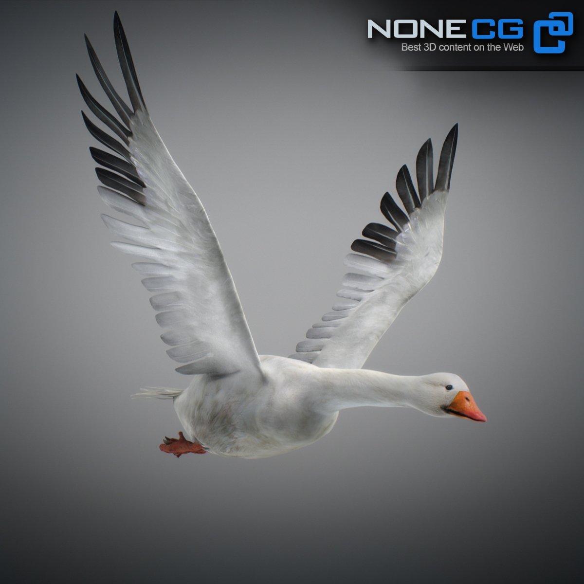 Animated Geese preview image.