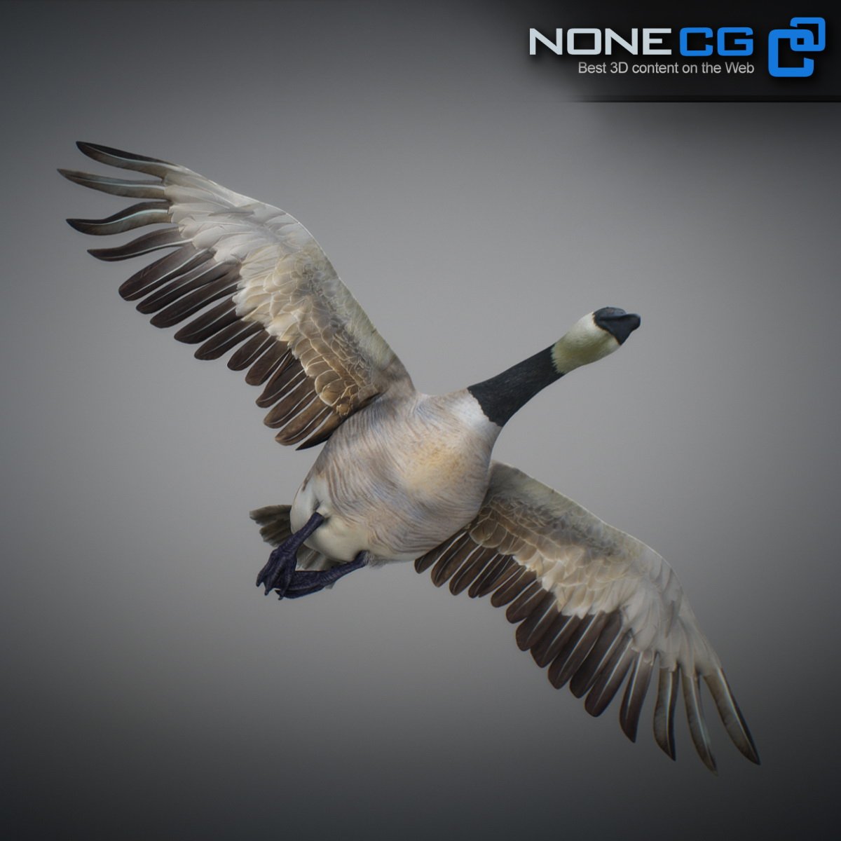 geese 027 199